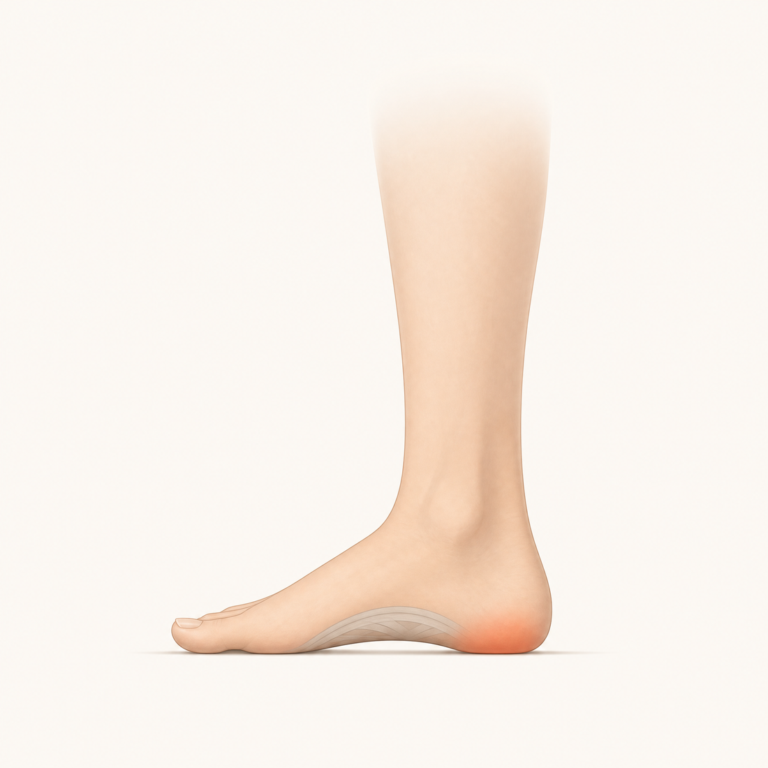 Side view of a bare foot with the arch slightly lower and strain at the heel